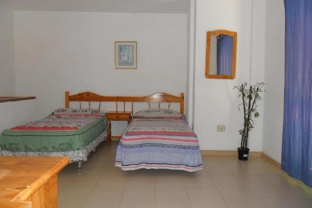 Apartamentos Alondras Park Costa Del Silencio Exterior foto